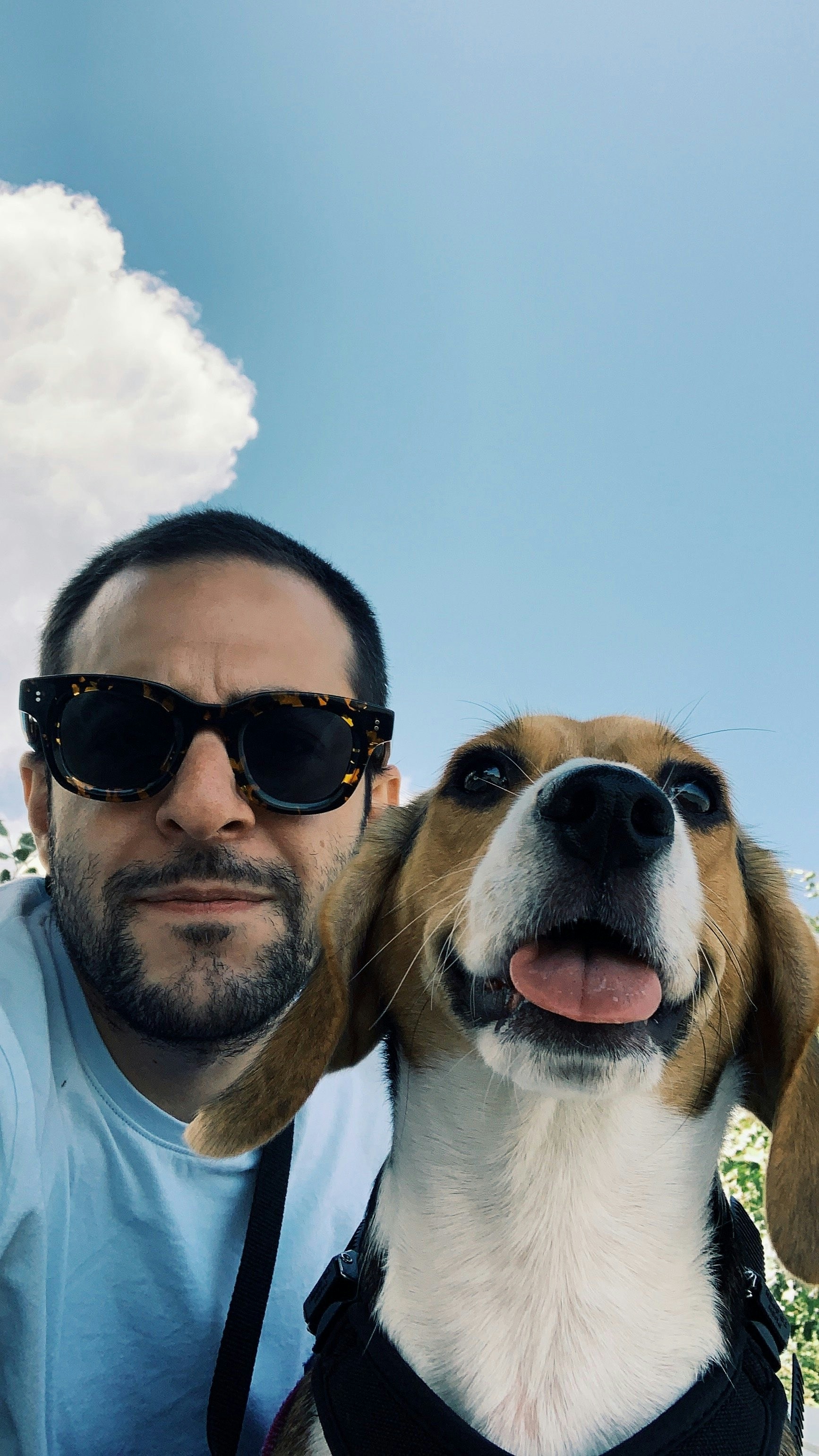 Go to Ejmin Matevousian's profile