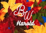 Avatar of user B.W. Harold