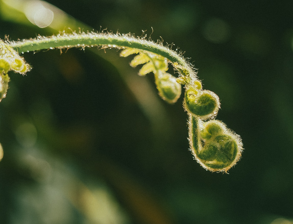 Go to neil macc's profile