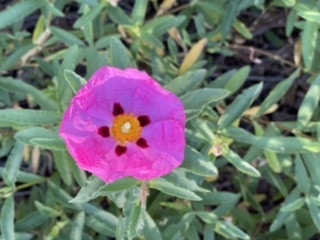 Go to Tamara SlaughterCerven's profile