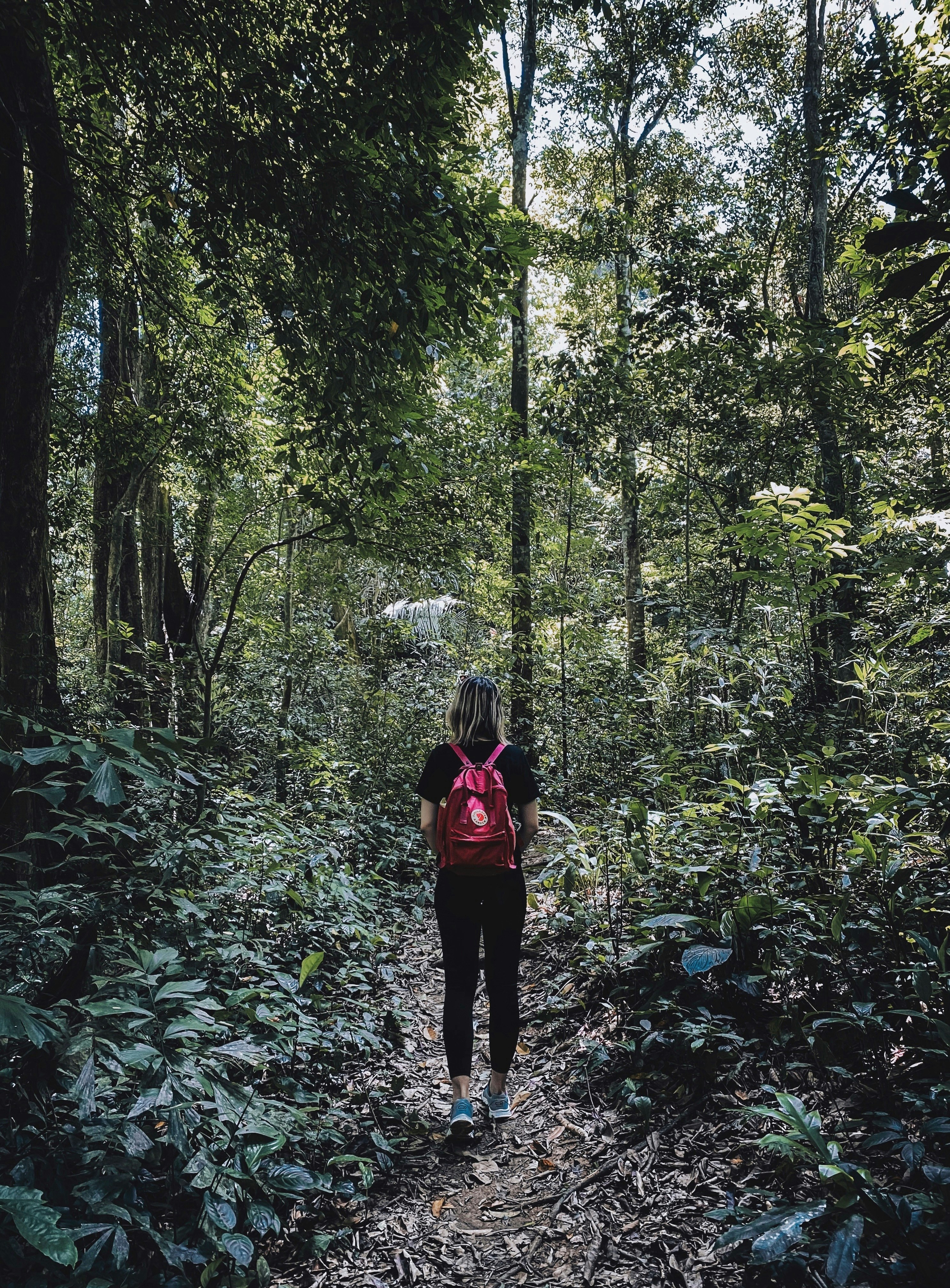 Go to Annie Le's profile