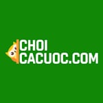 Avatar of user choicacuoc Hướng dẫn cá cược bóng đá choicacuoc