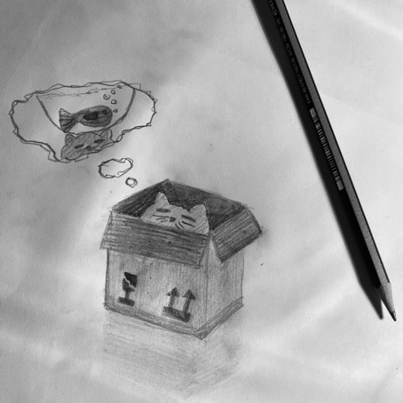 Zum Profil von Monti Timpanogus