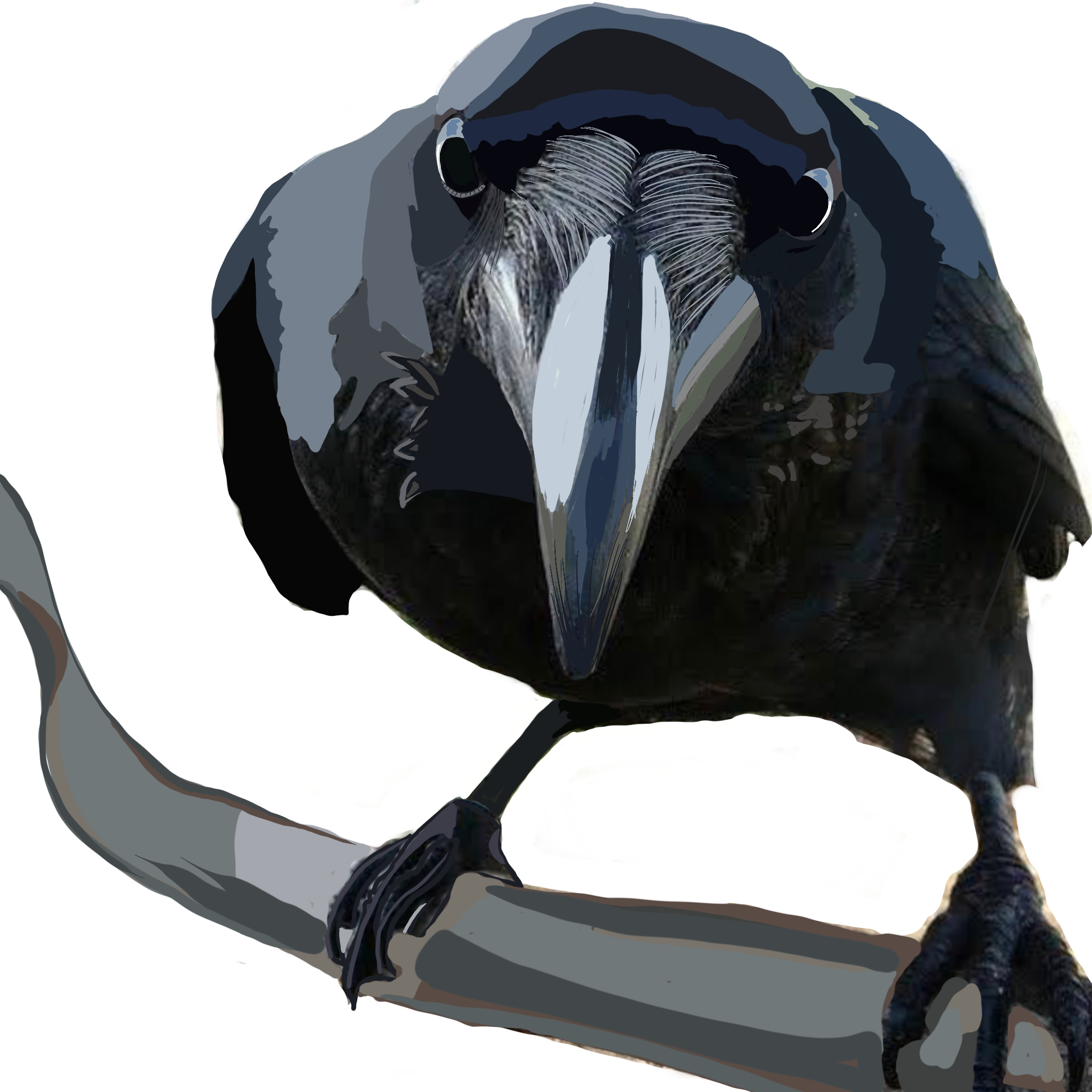 Avatar von Benutzer Loretta Rosa