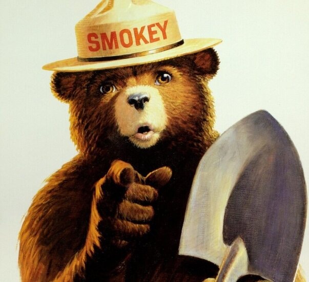 Smokey the Bear T Shirt