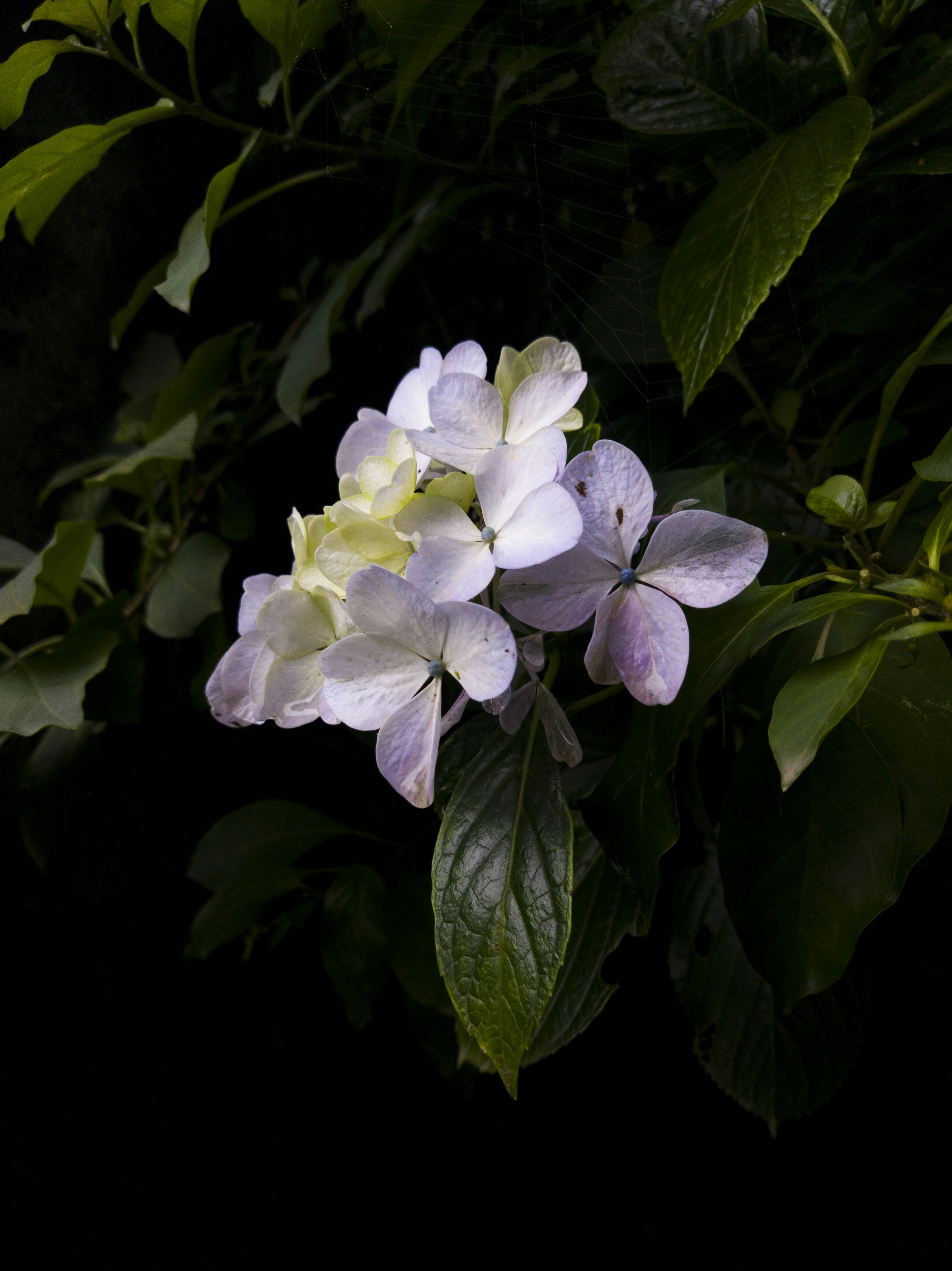 Go to Sumit's profile