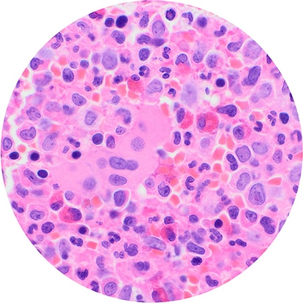 Go to jonnie turpie's profile