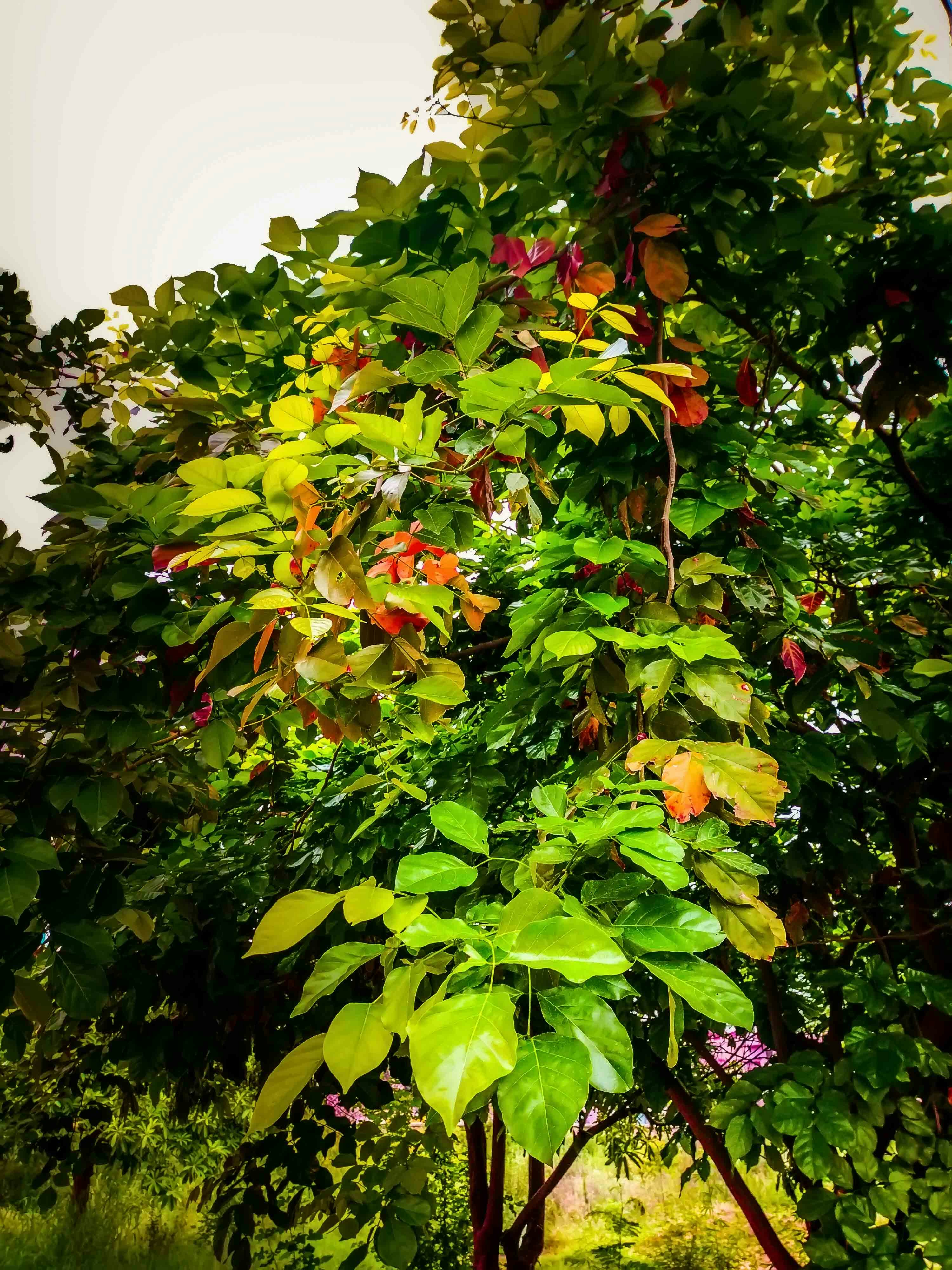 Go to Karan Kalsi's profile