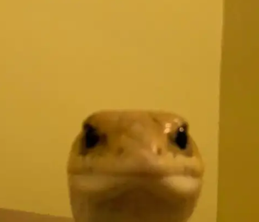 Go to Isaac Struna's profile