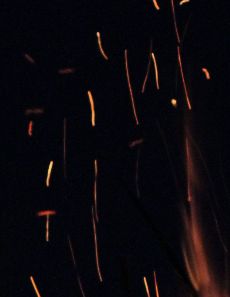 Go to Alina Iustyna's profile