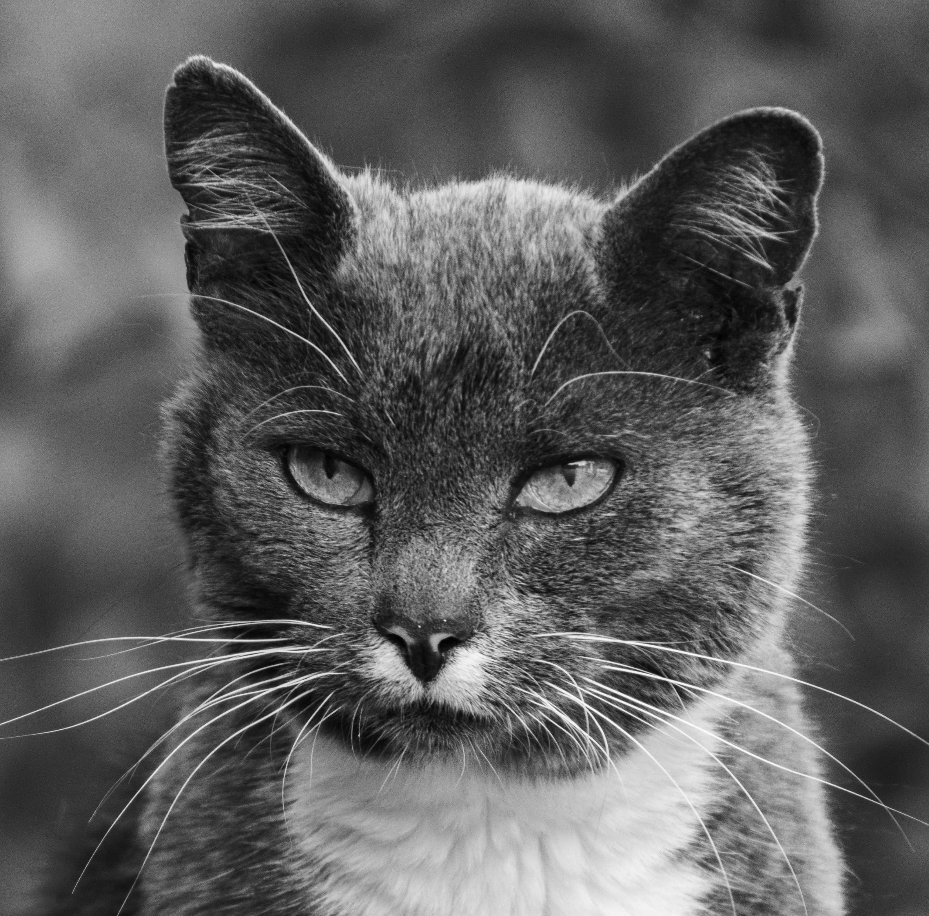 Go to Juho Luomala's profile