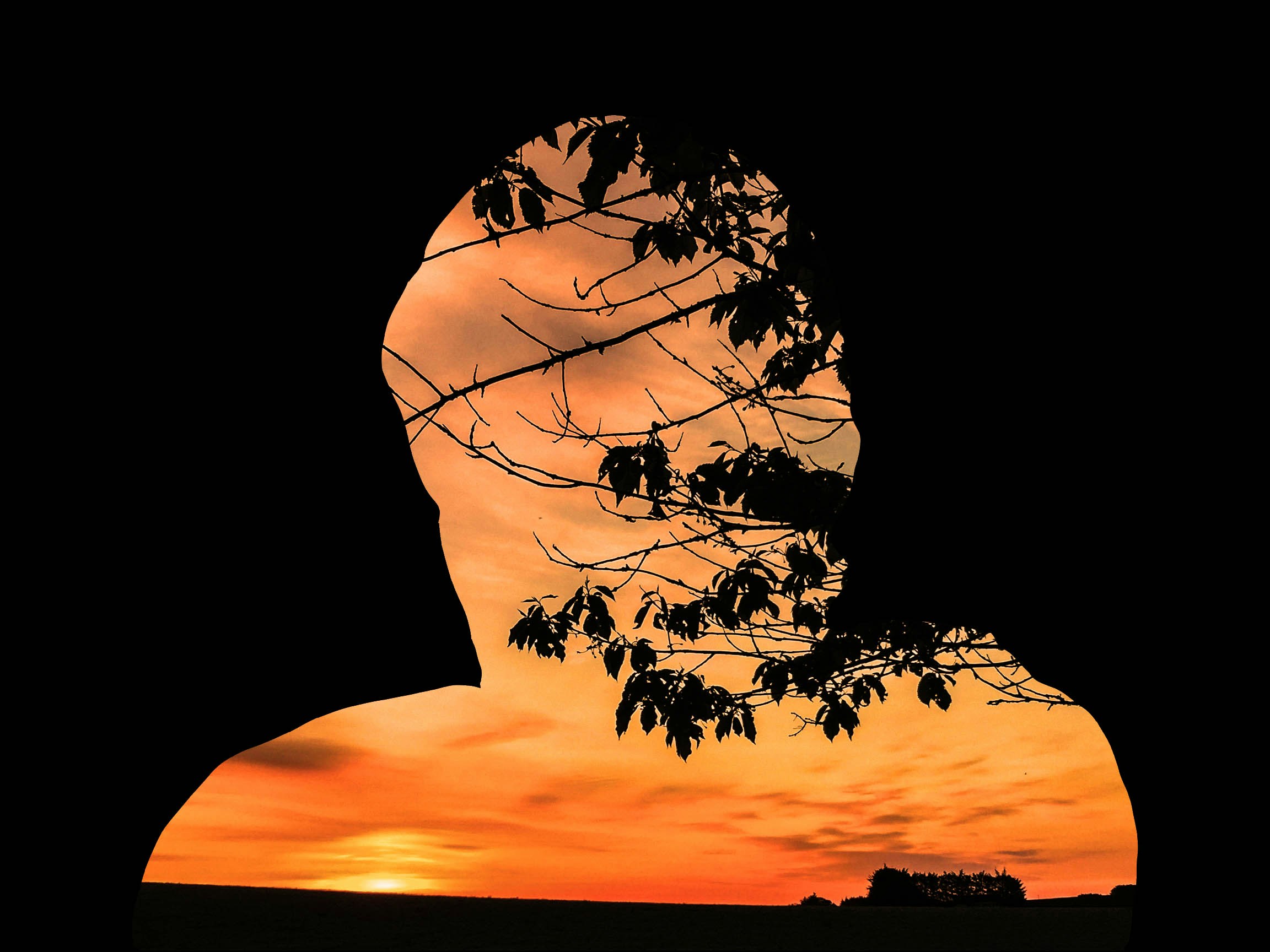 Go to Jamie McLennan's profile