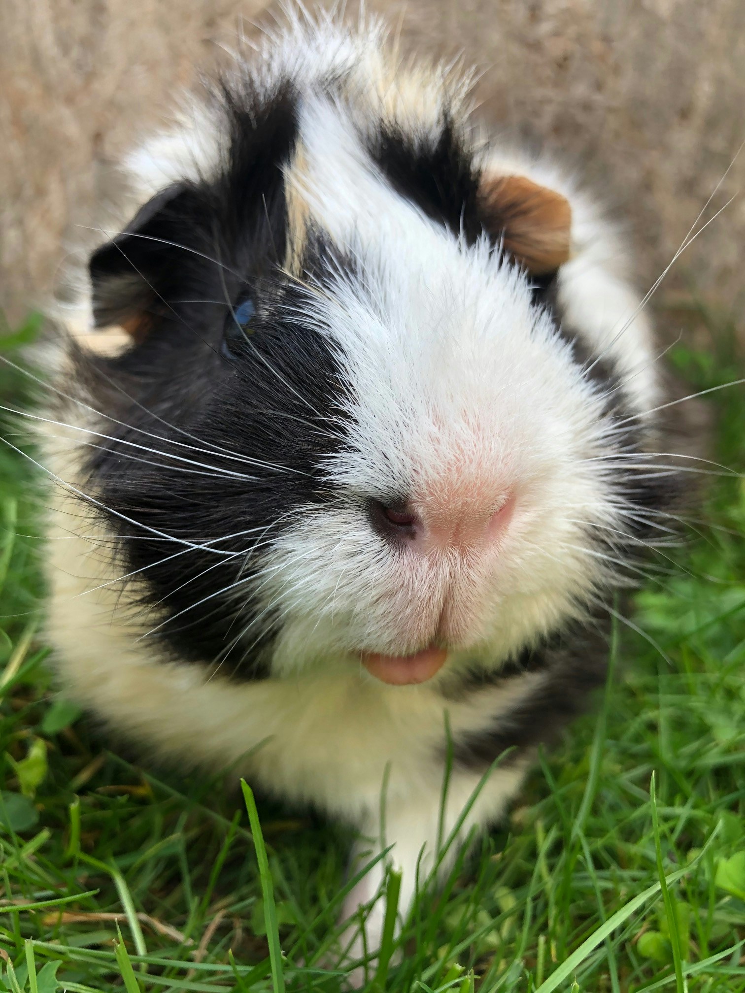 Go to slyfox photography's profile