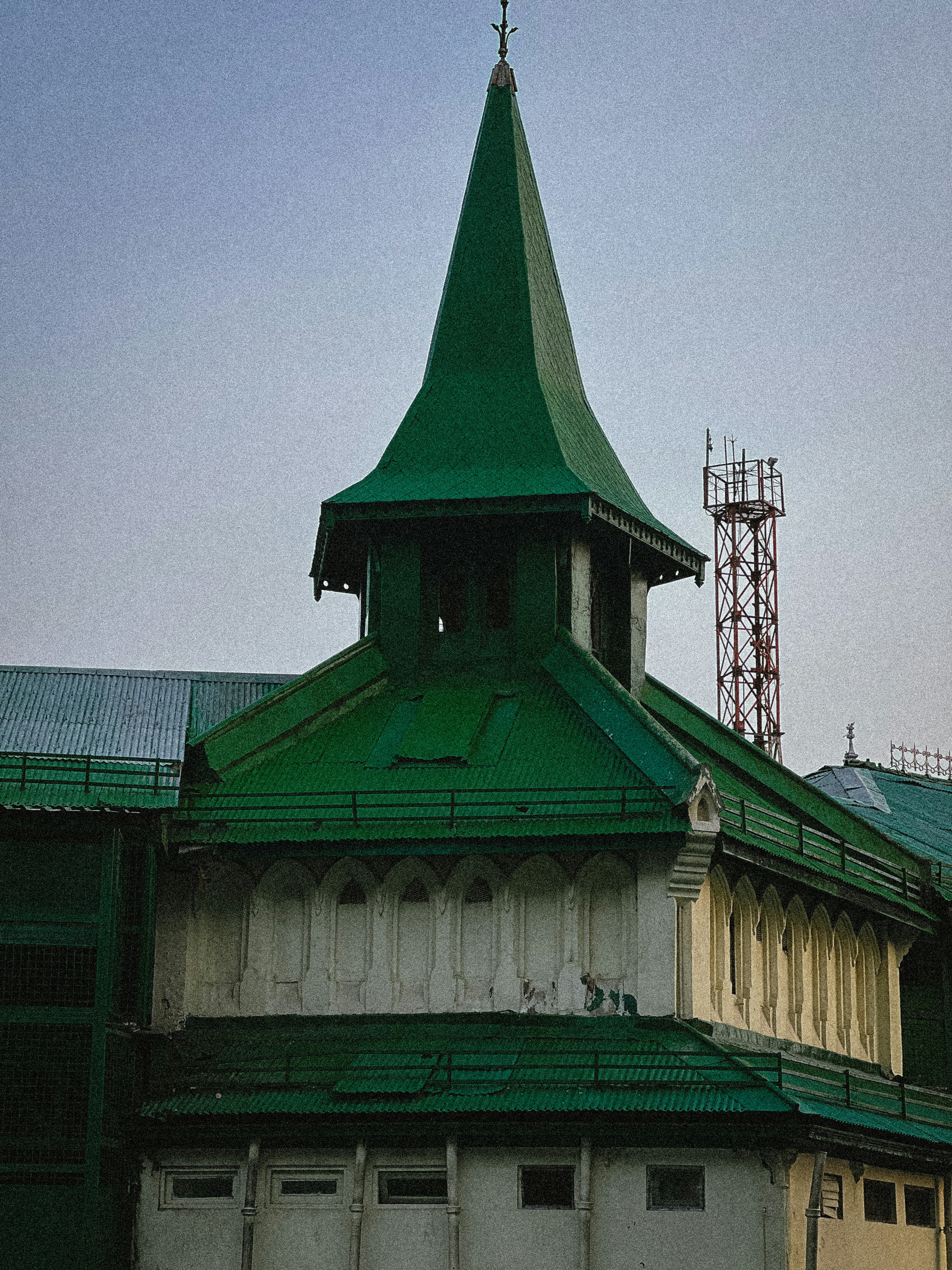 Go to flea bag's profile