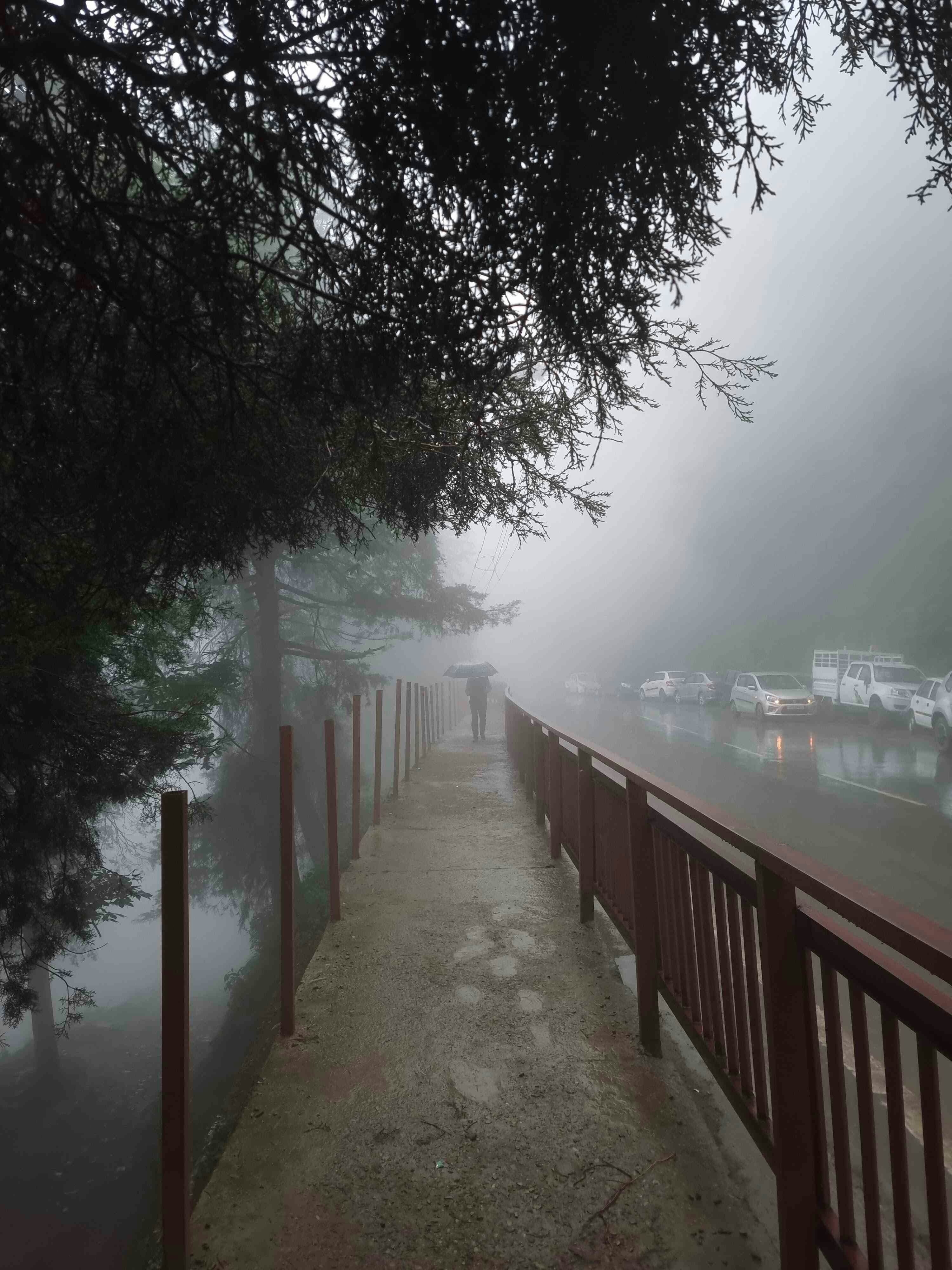 Go to Alden Cor's profile