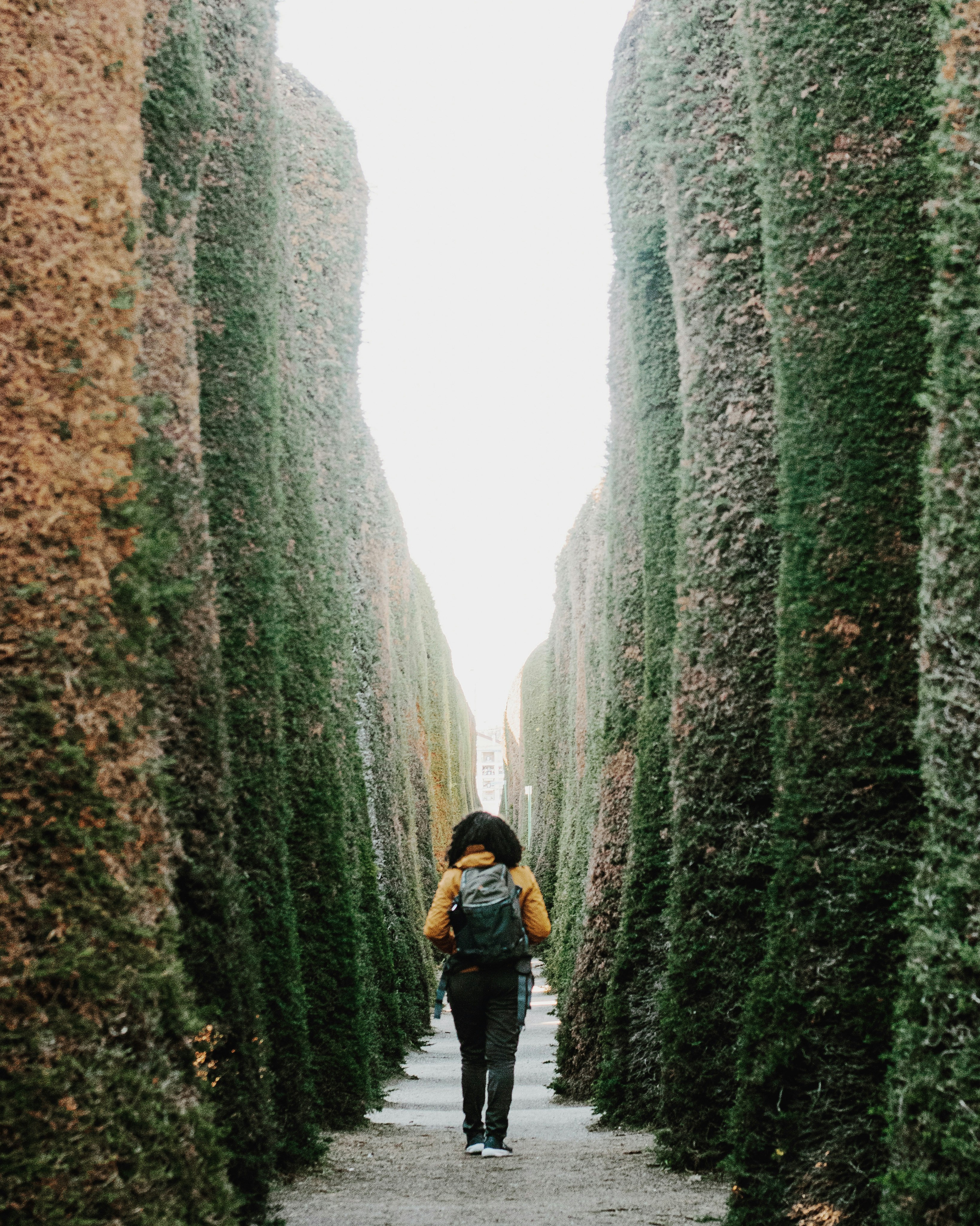 Zum Profil von Genesis Garcia