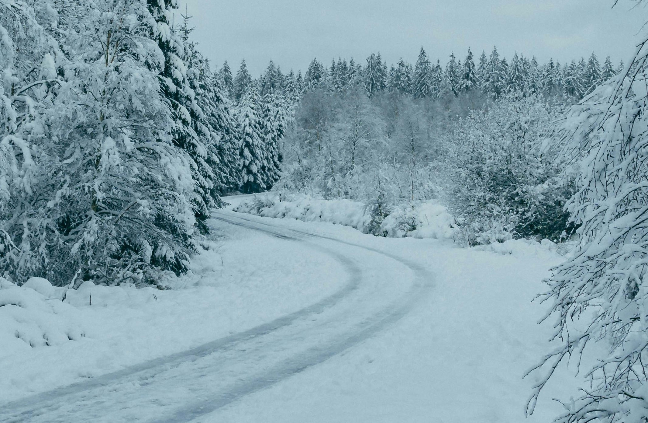 Go to Björn's profile