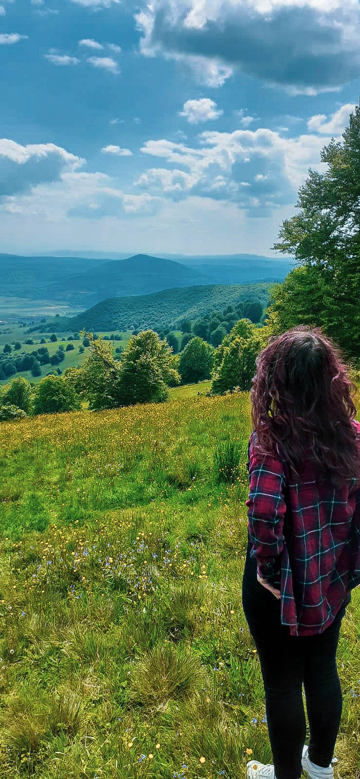 Ve al perfil de Isabela Dragu