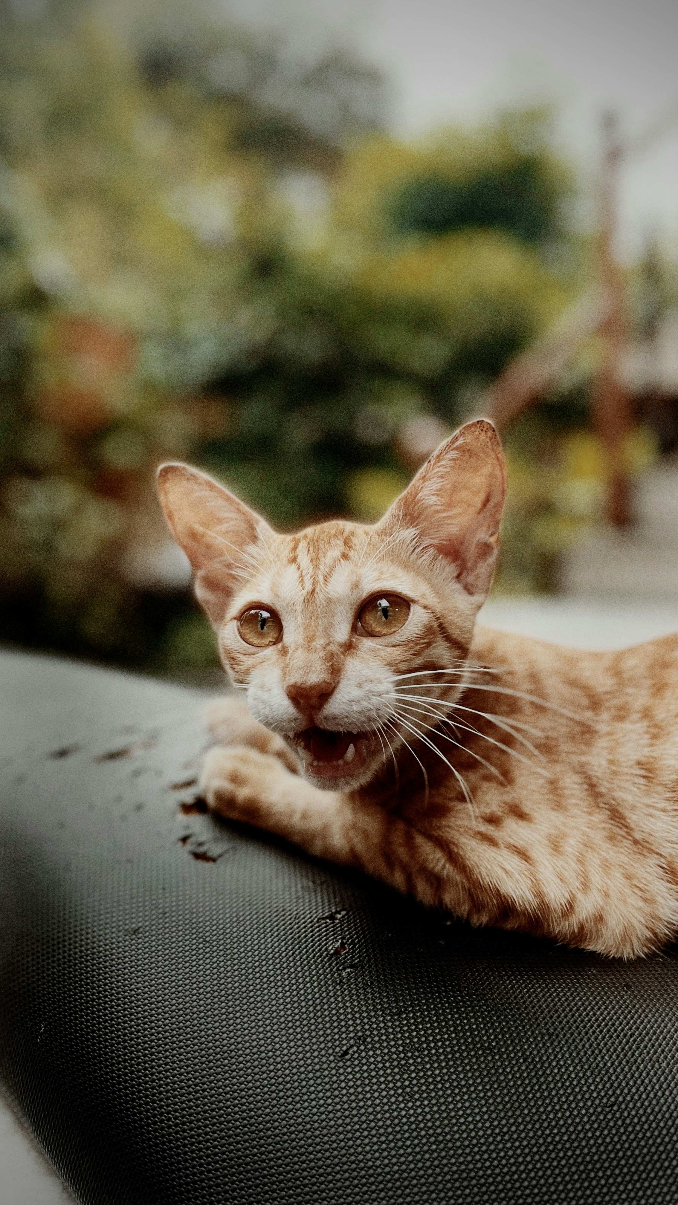 Go to Raj Madhvi's profile