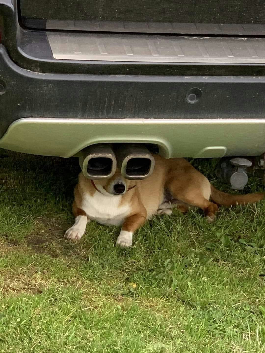 Zum Profil von Shyam