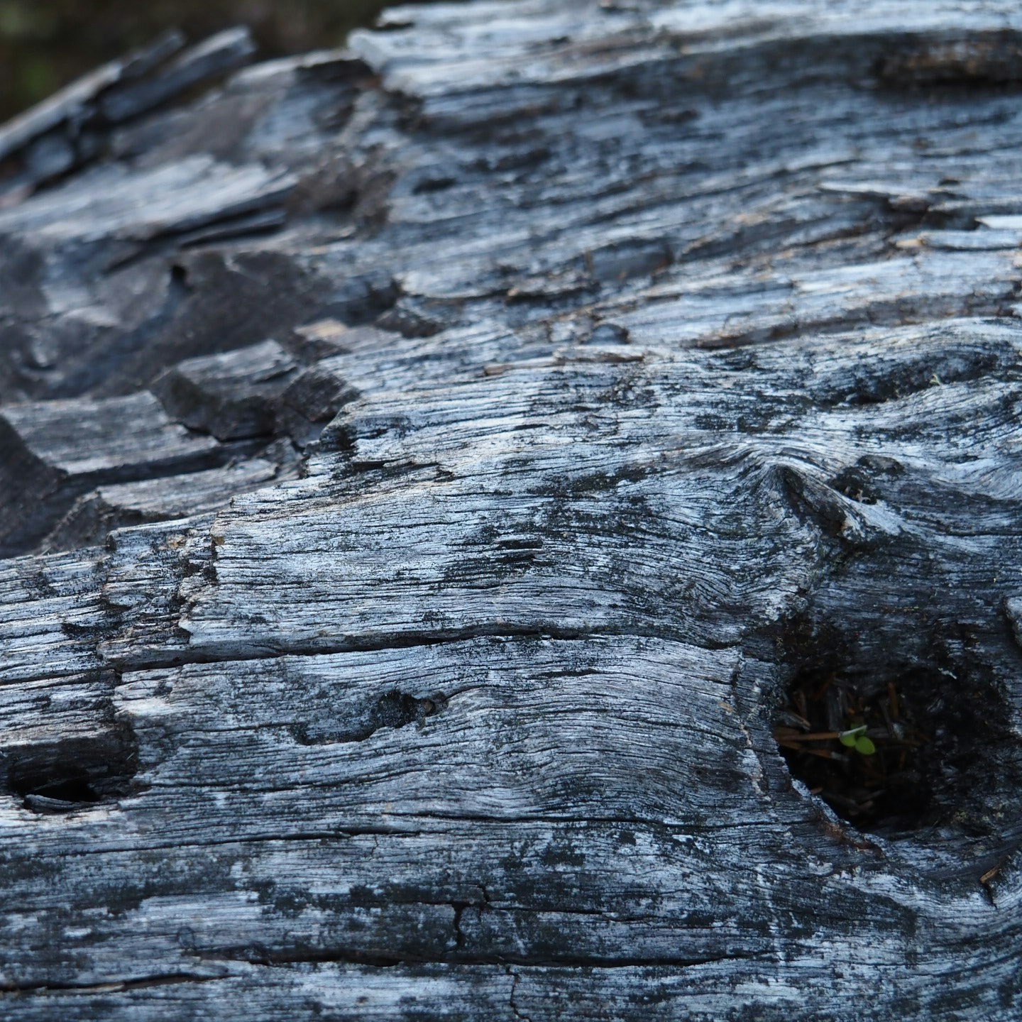 Go to Laurence B's profile