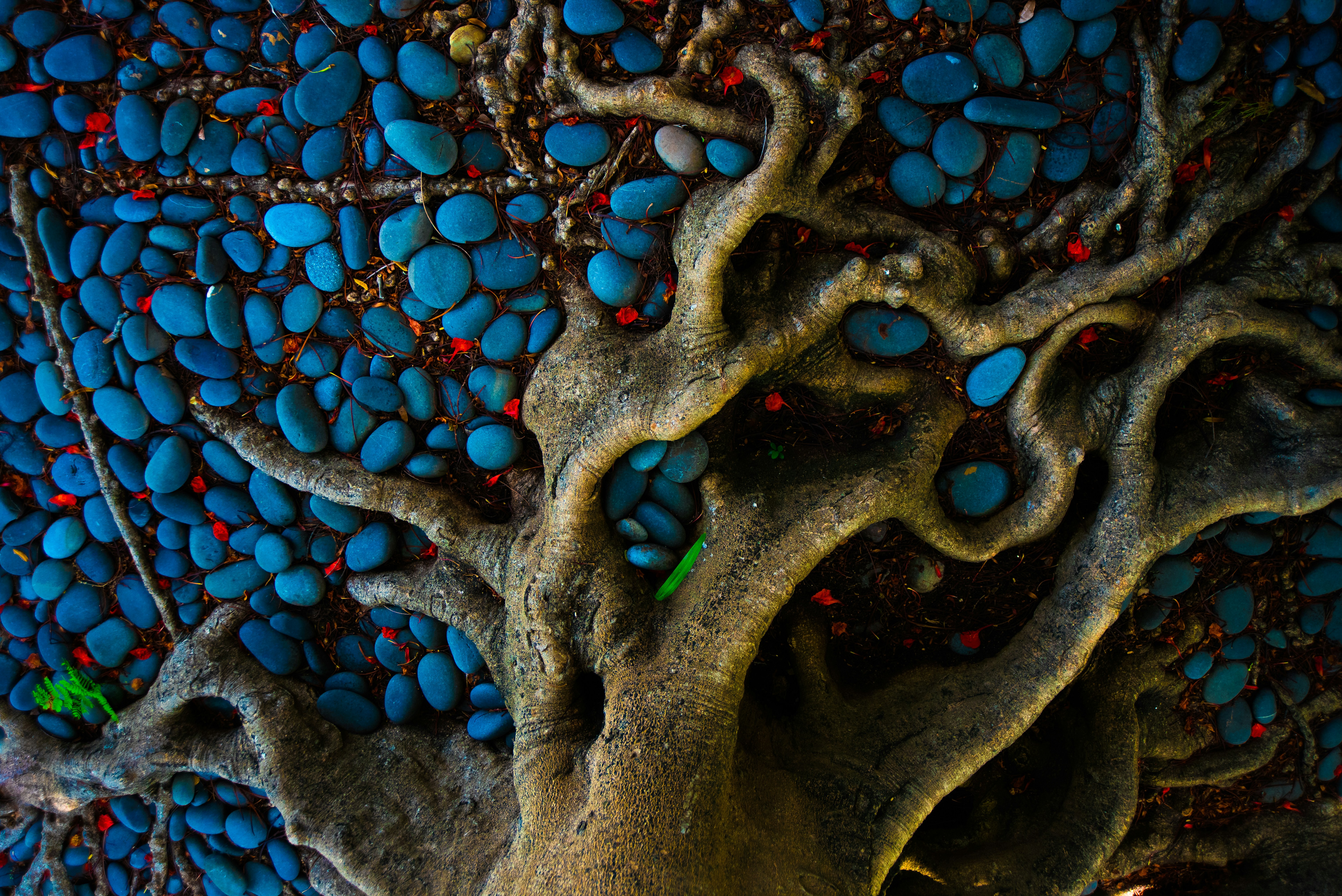 Go to thom masat's profile