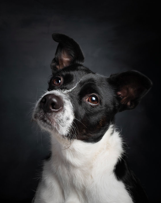 Ve al perfil de Jane Thomson