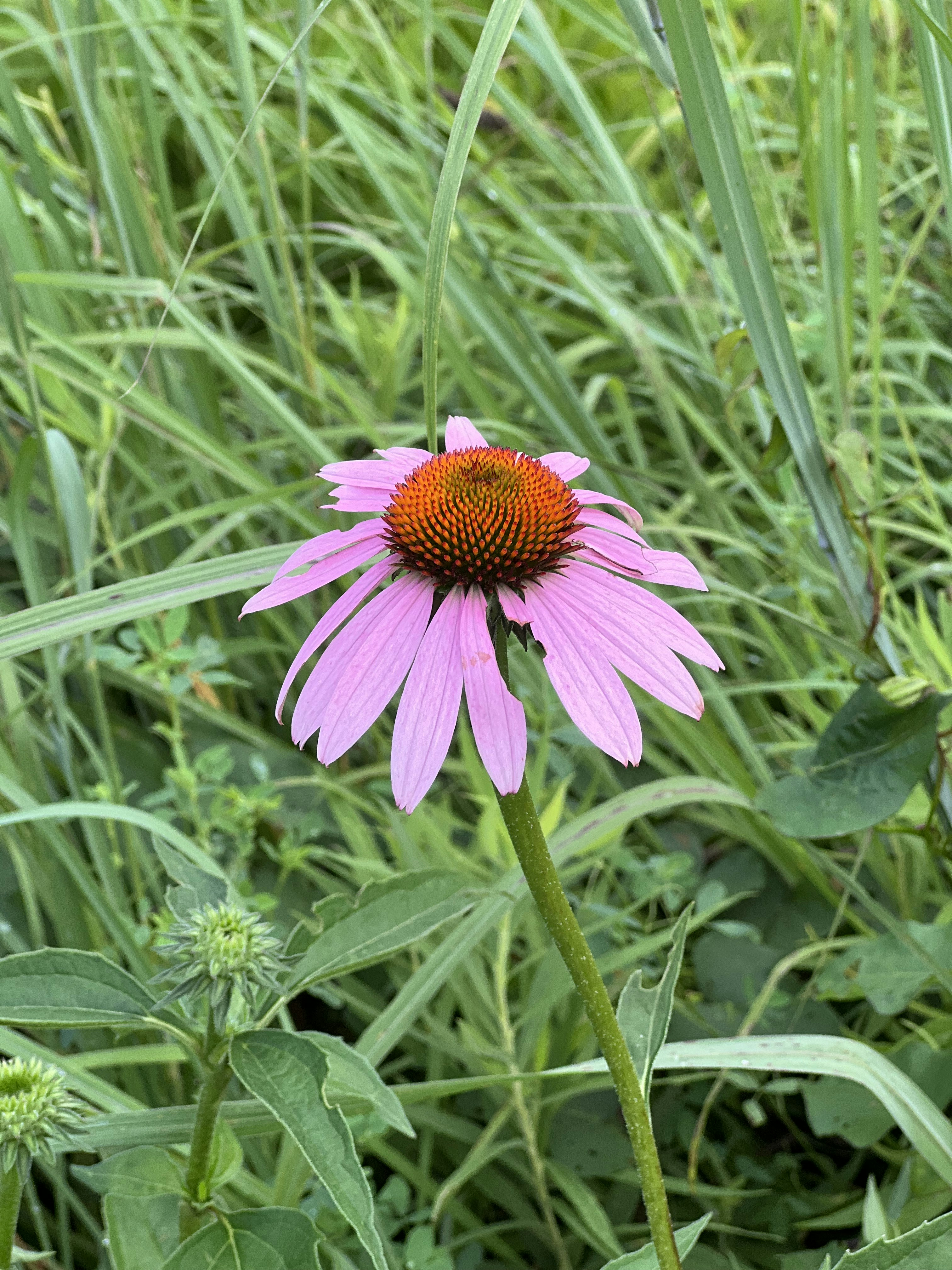 Avatar of user J Richmond