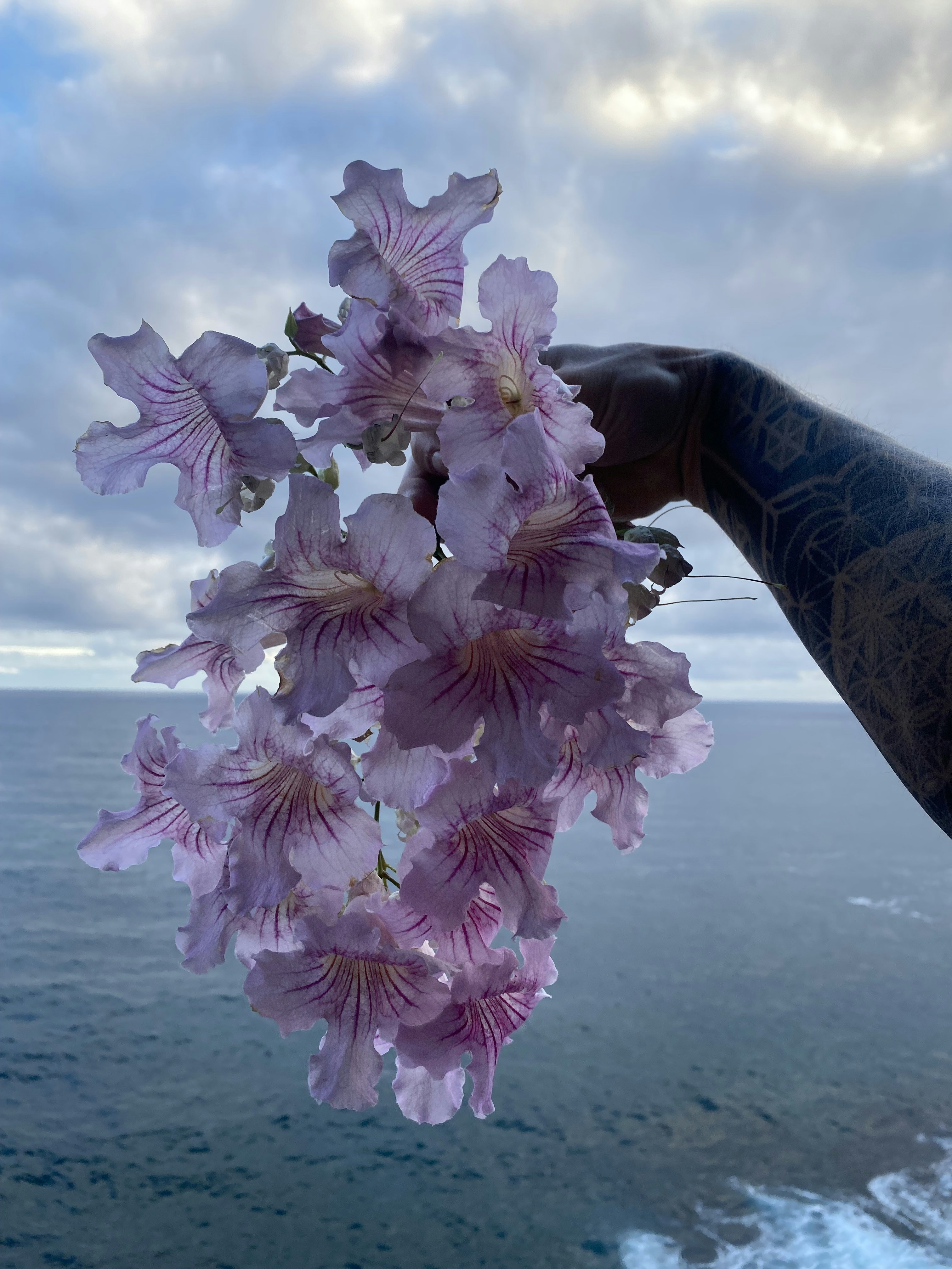 Go to Yevhenii Aihubov's profile