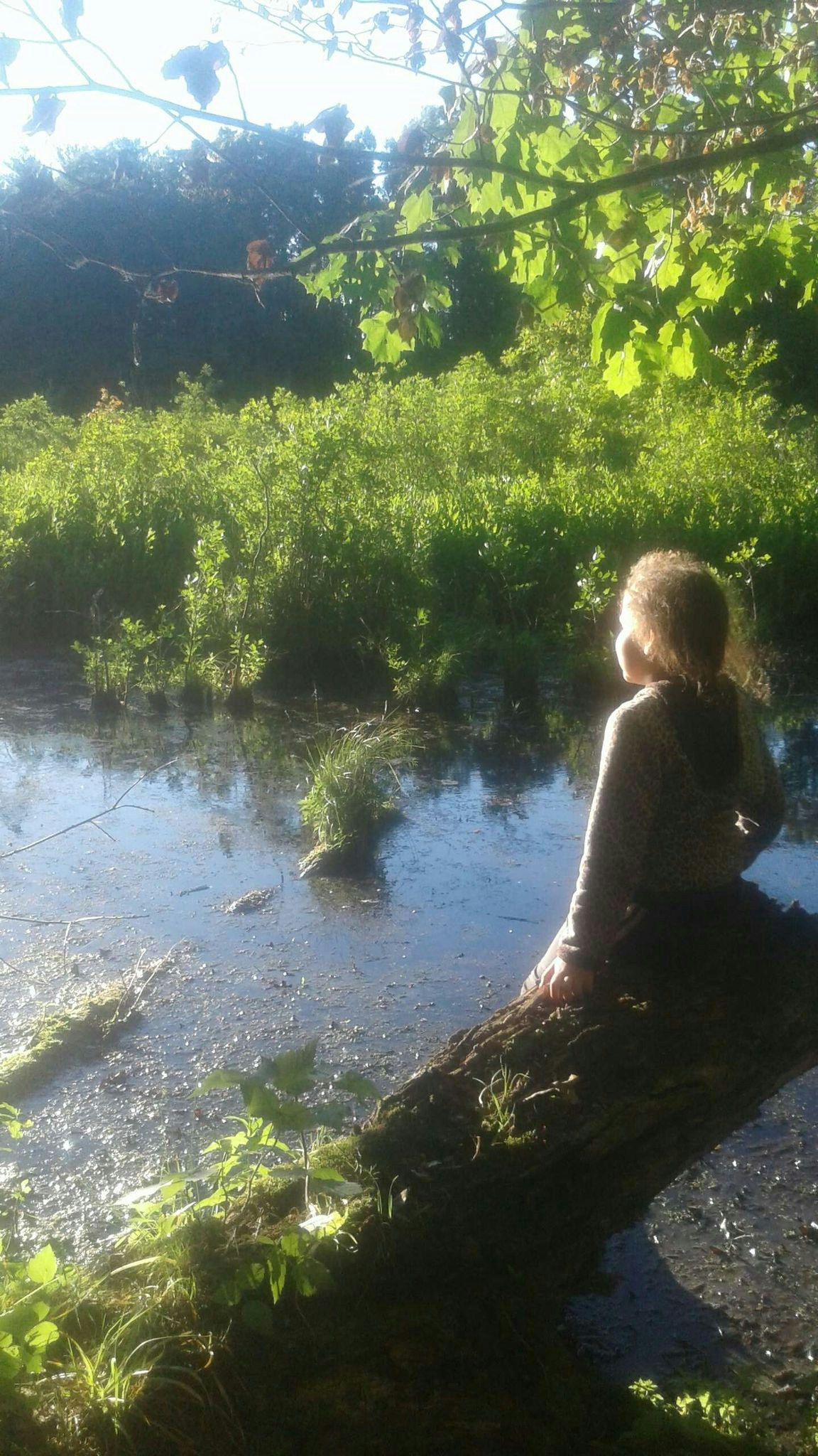 Go to Aurora K's profile