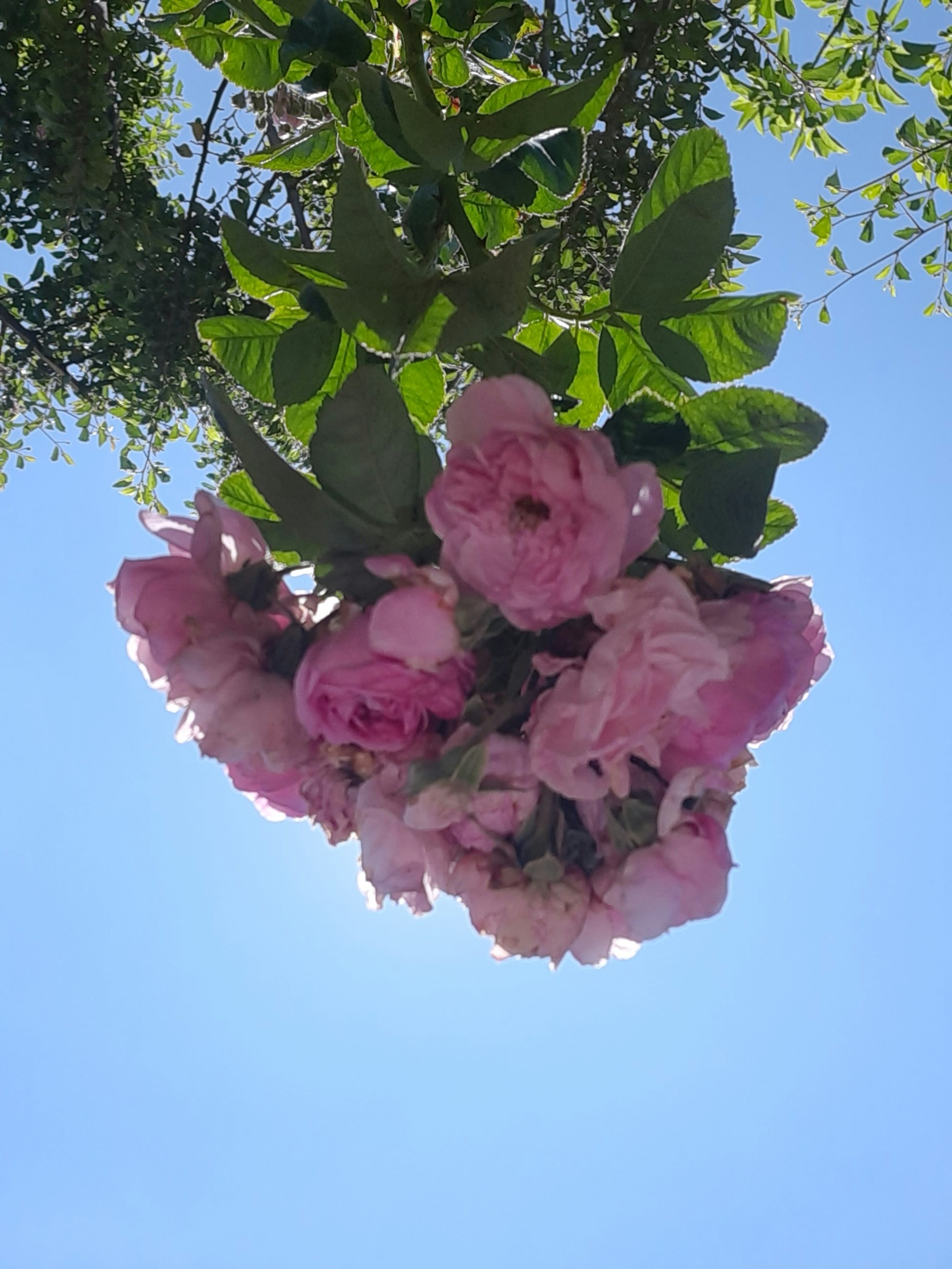 Zum Profil von Tshedza Muvhango