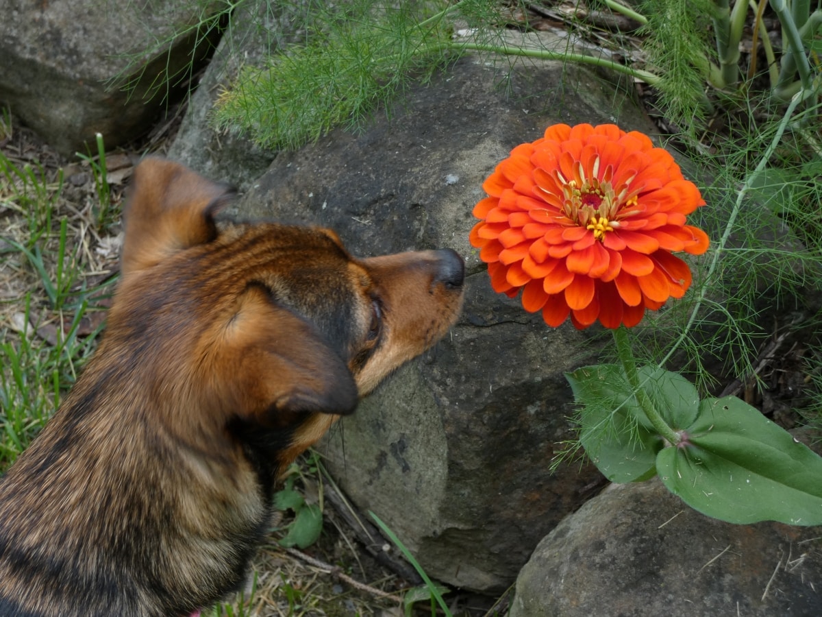 Kimberly Meansのプロフィールを見る