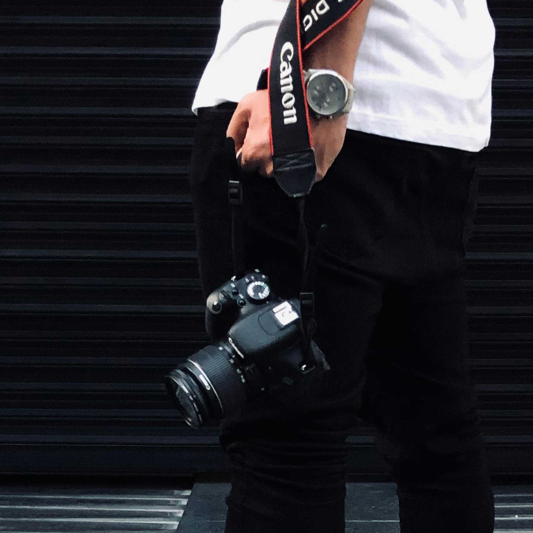 Ir para o perfil de Ali Ghafouri