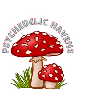 Psychedelic Havens