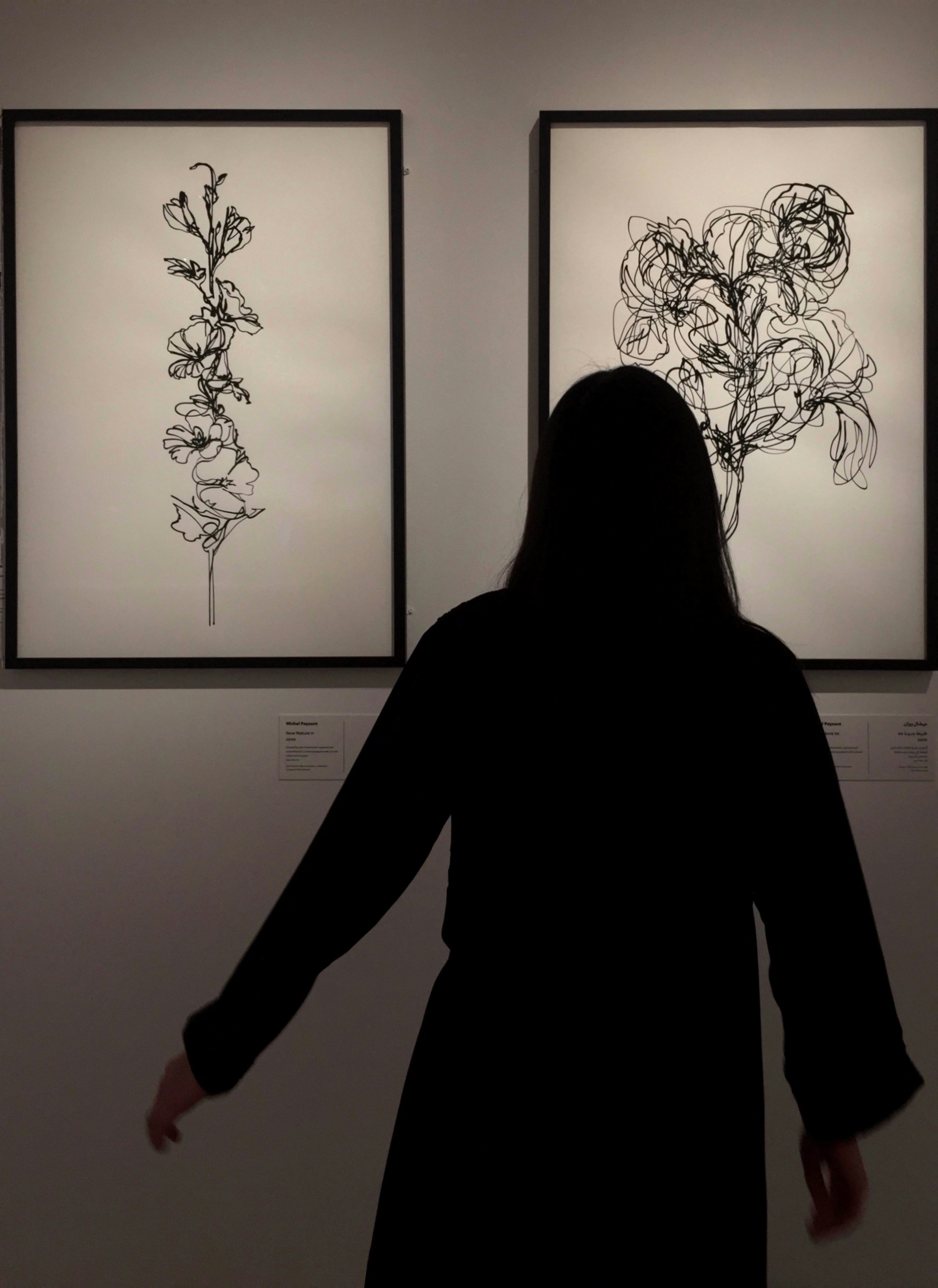 Ve al perfil de Llana