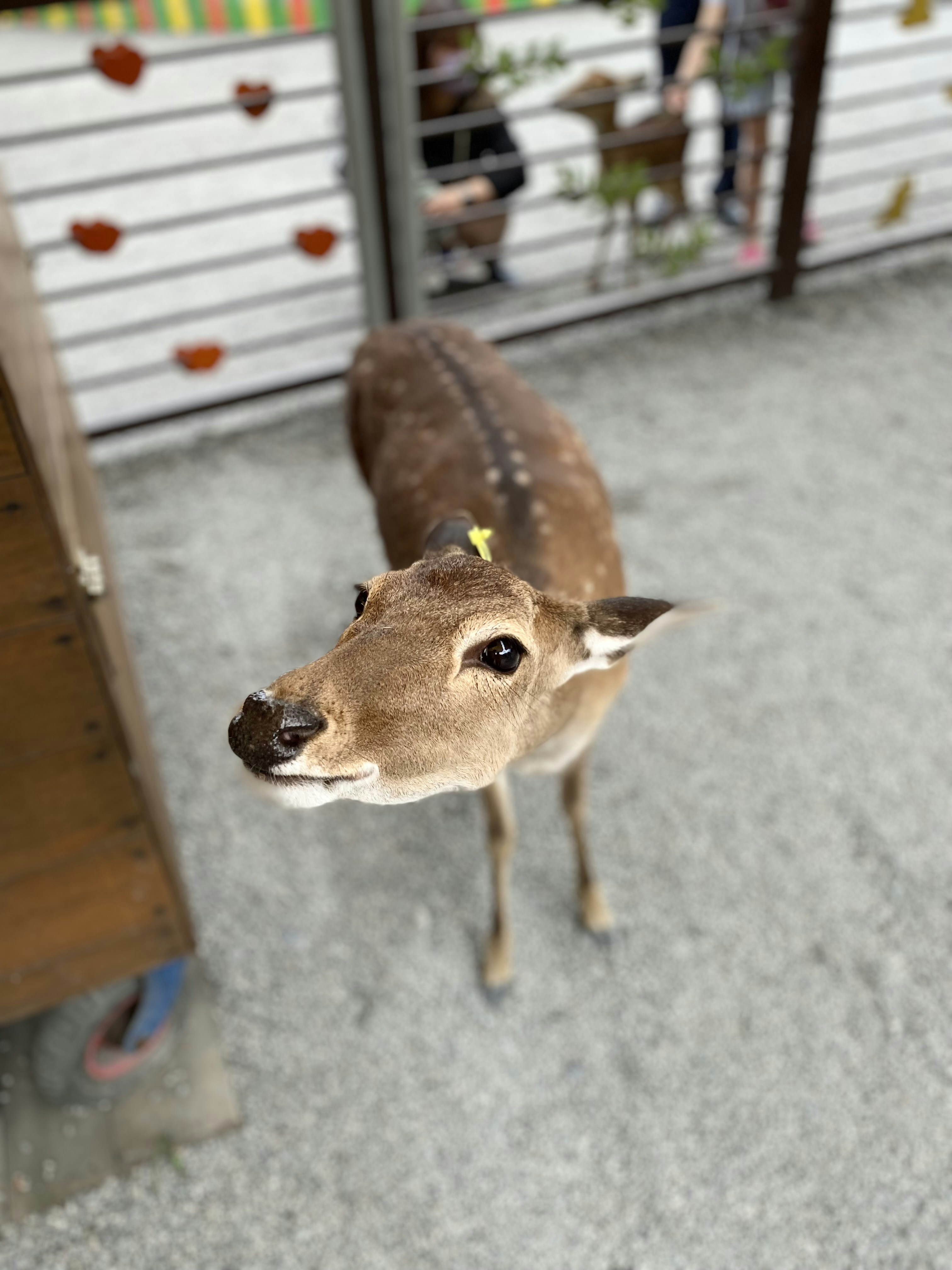 Go to Ginta Wang's profile