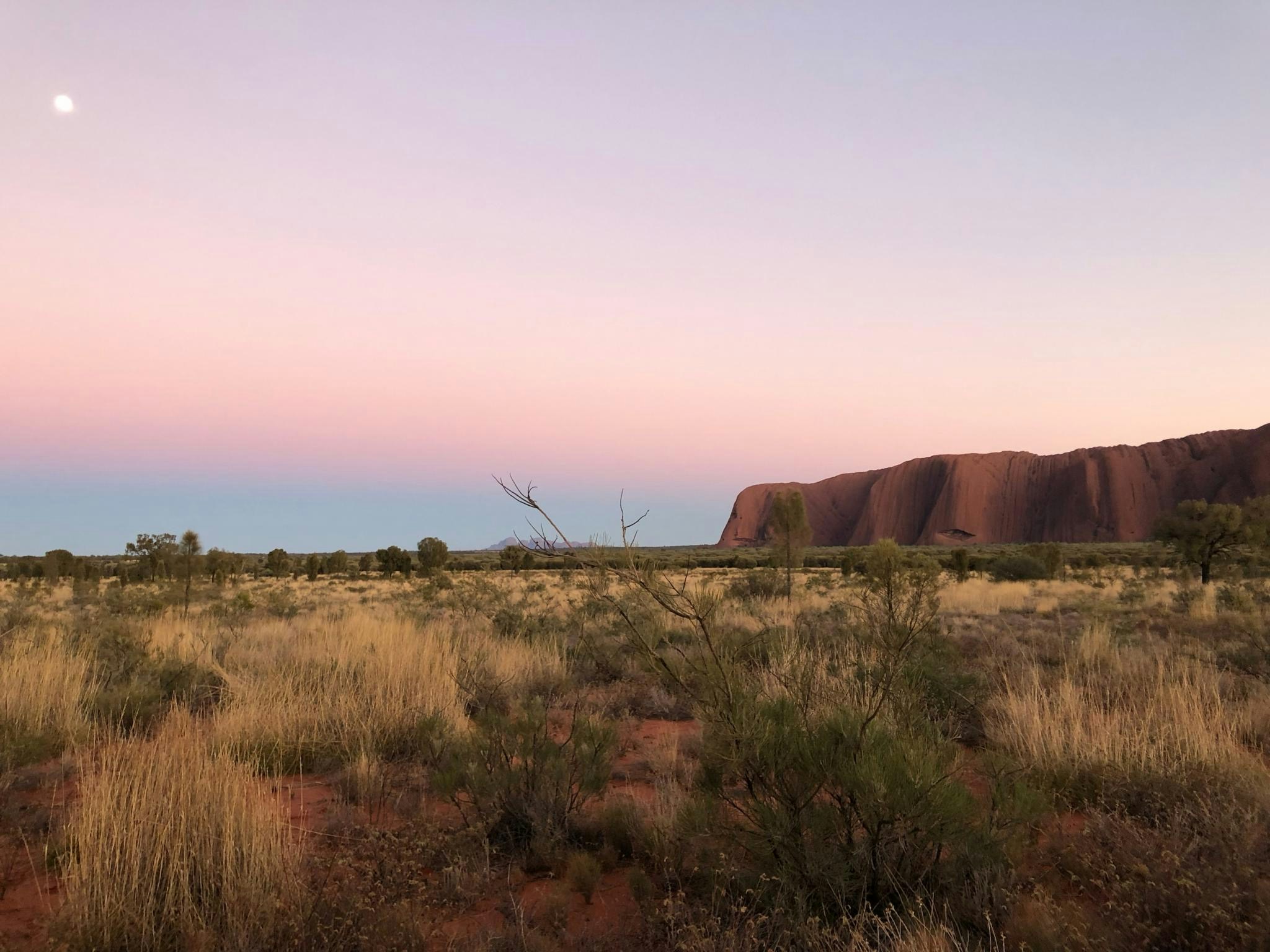 Go to Tory's profile