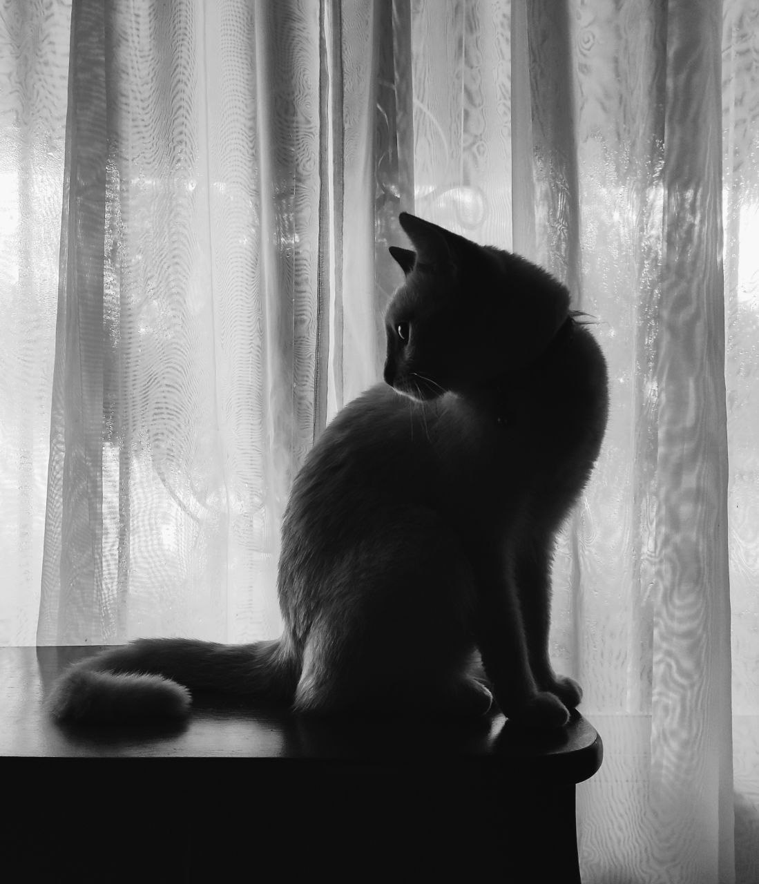 Go to Paola V. Velazco's profile