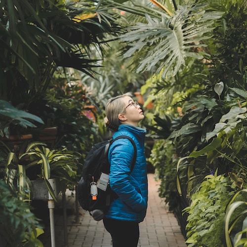 Ve al perfil de Lan Johnson