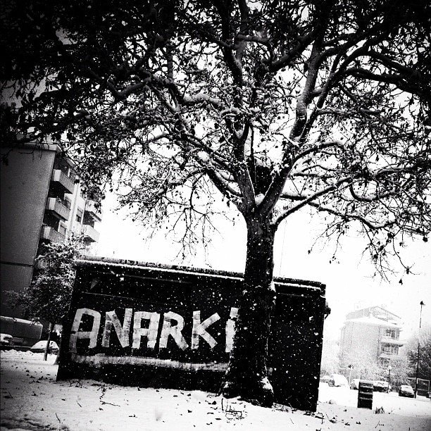 Go to Gerardo  Lamattina's profile