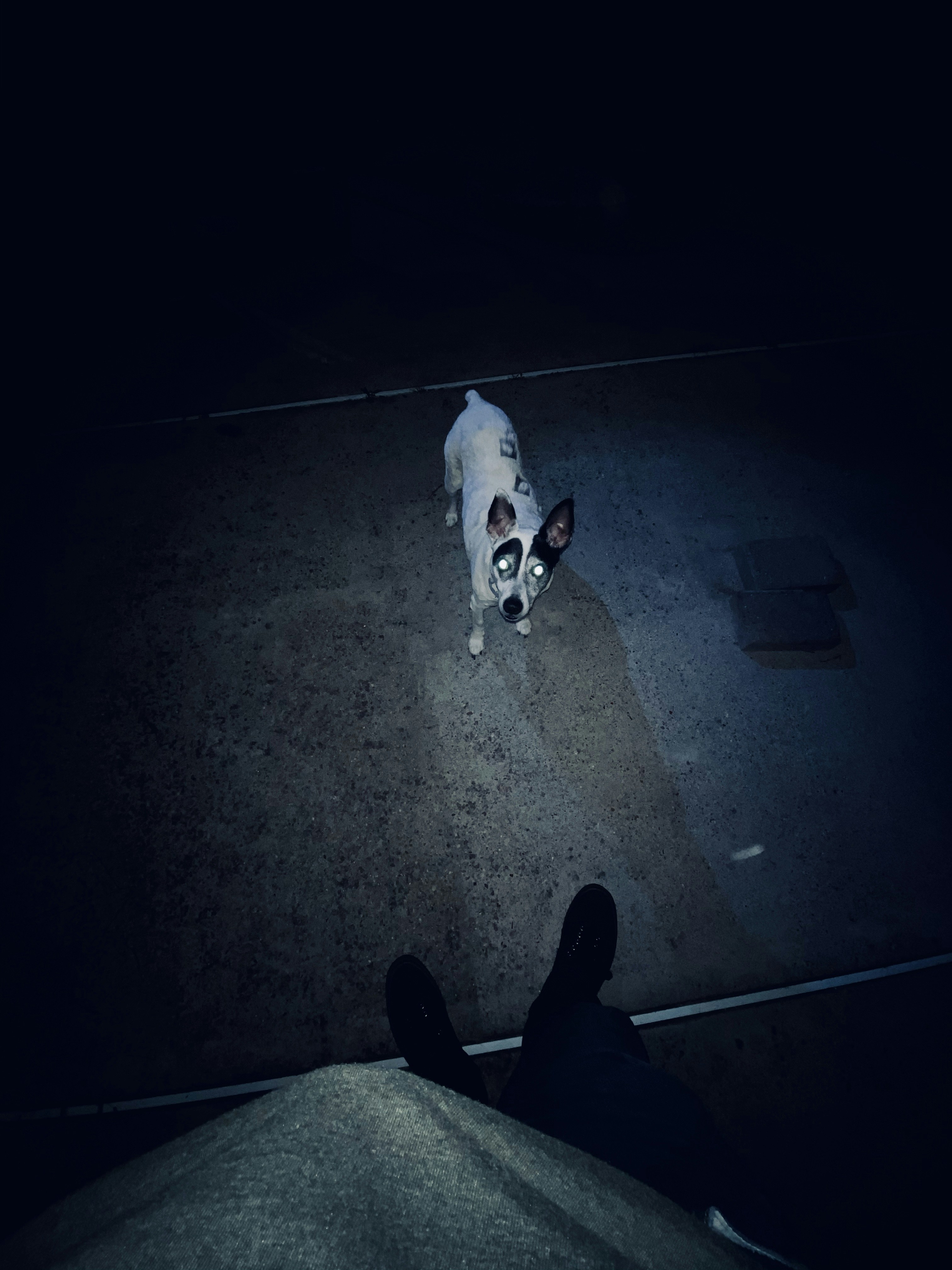 Go to R. P.'s profile