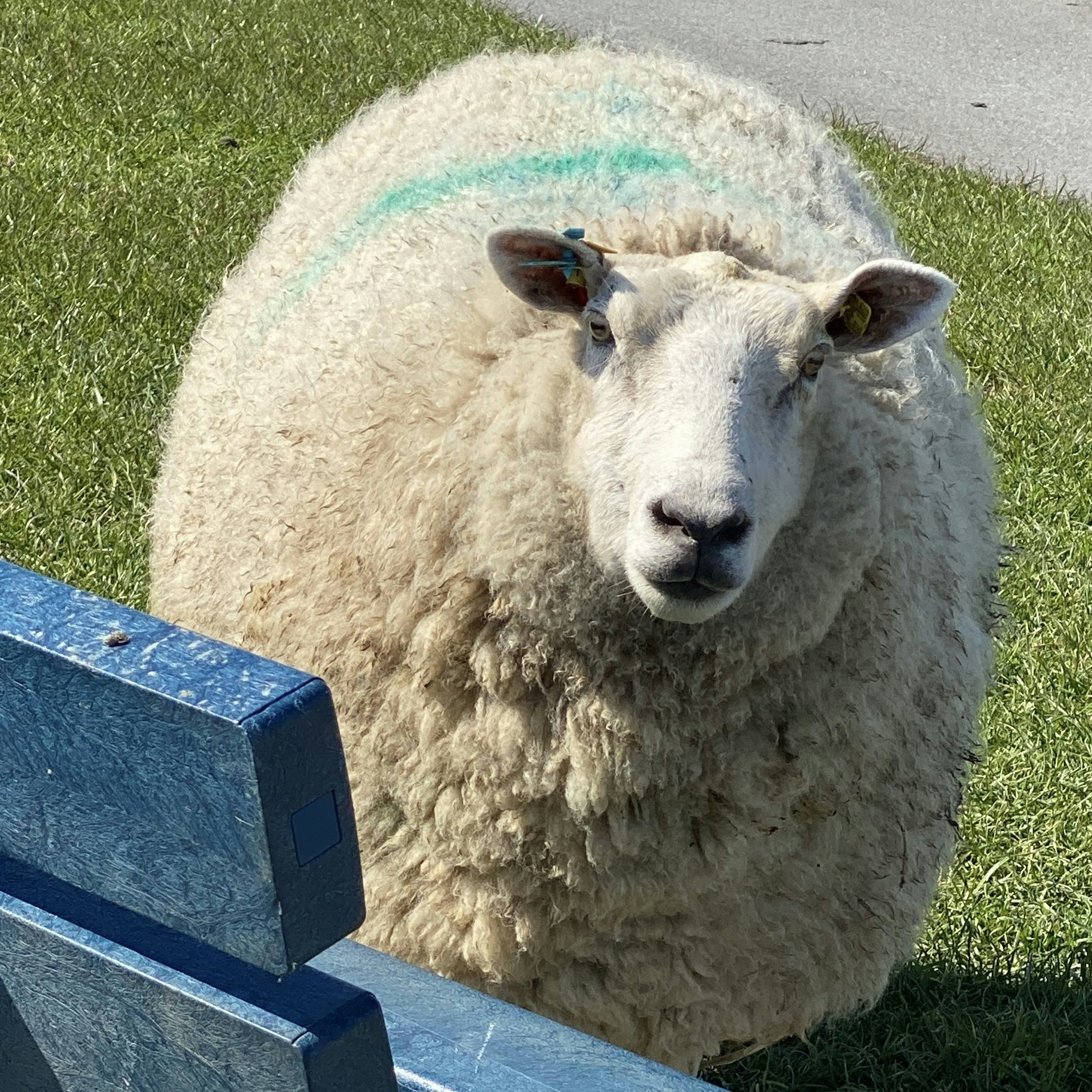 Go to Madame et Monsieur's profile