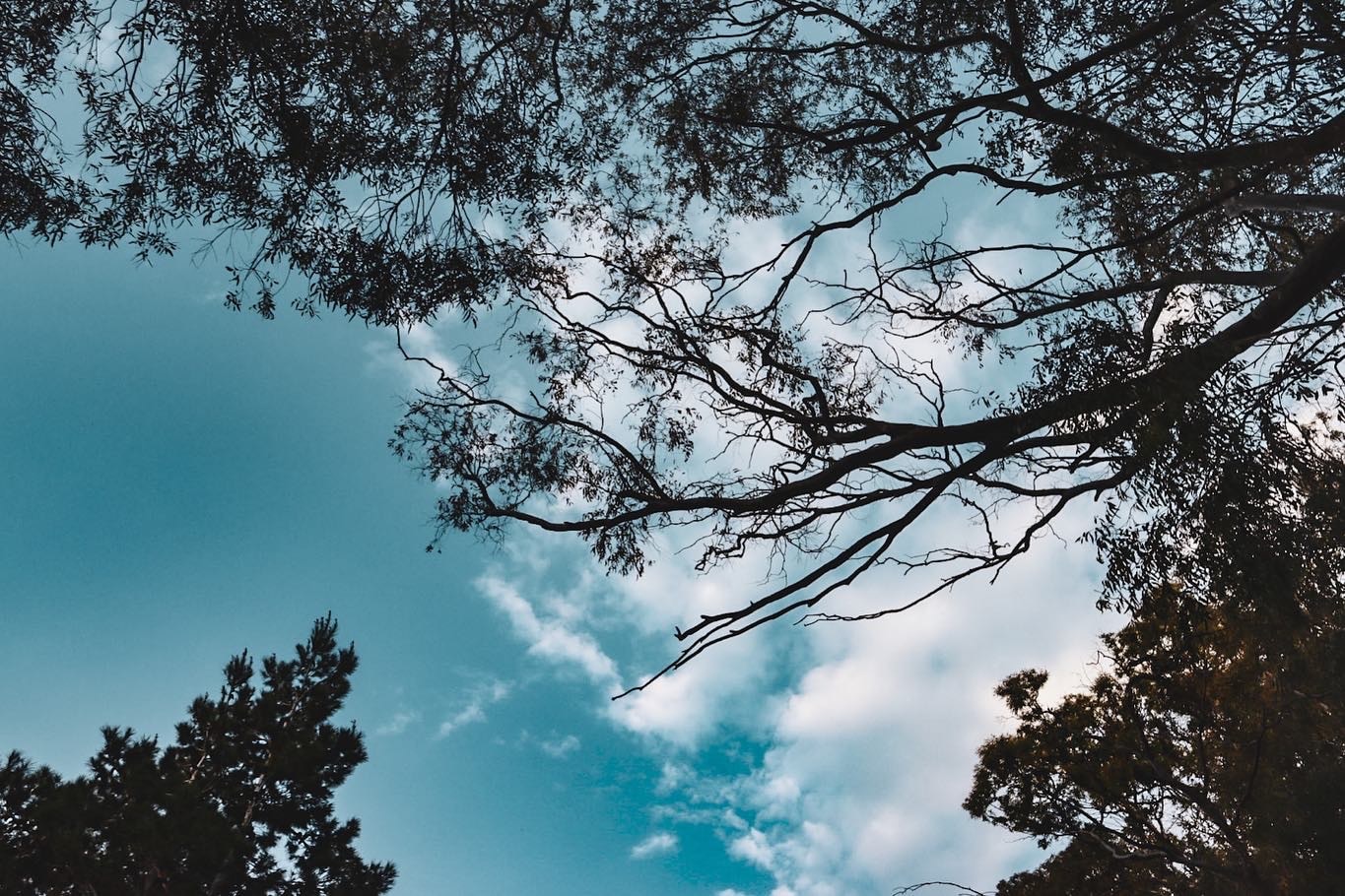 Zum Profil von Annelize De Waal