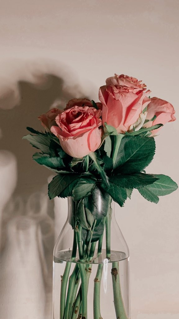 Go to Sekinah Saheed's profile