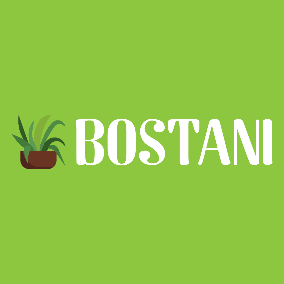 Go to Bostani Me's profile