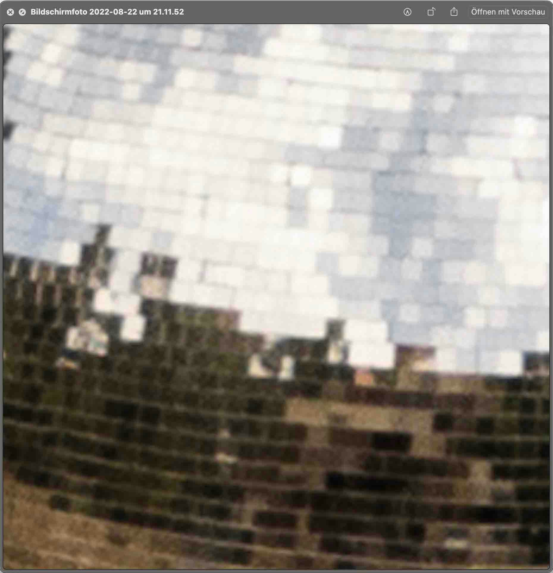 Go to Fiona's profile