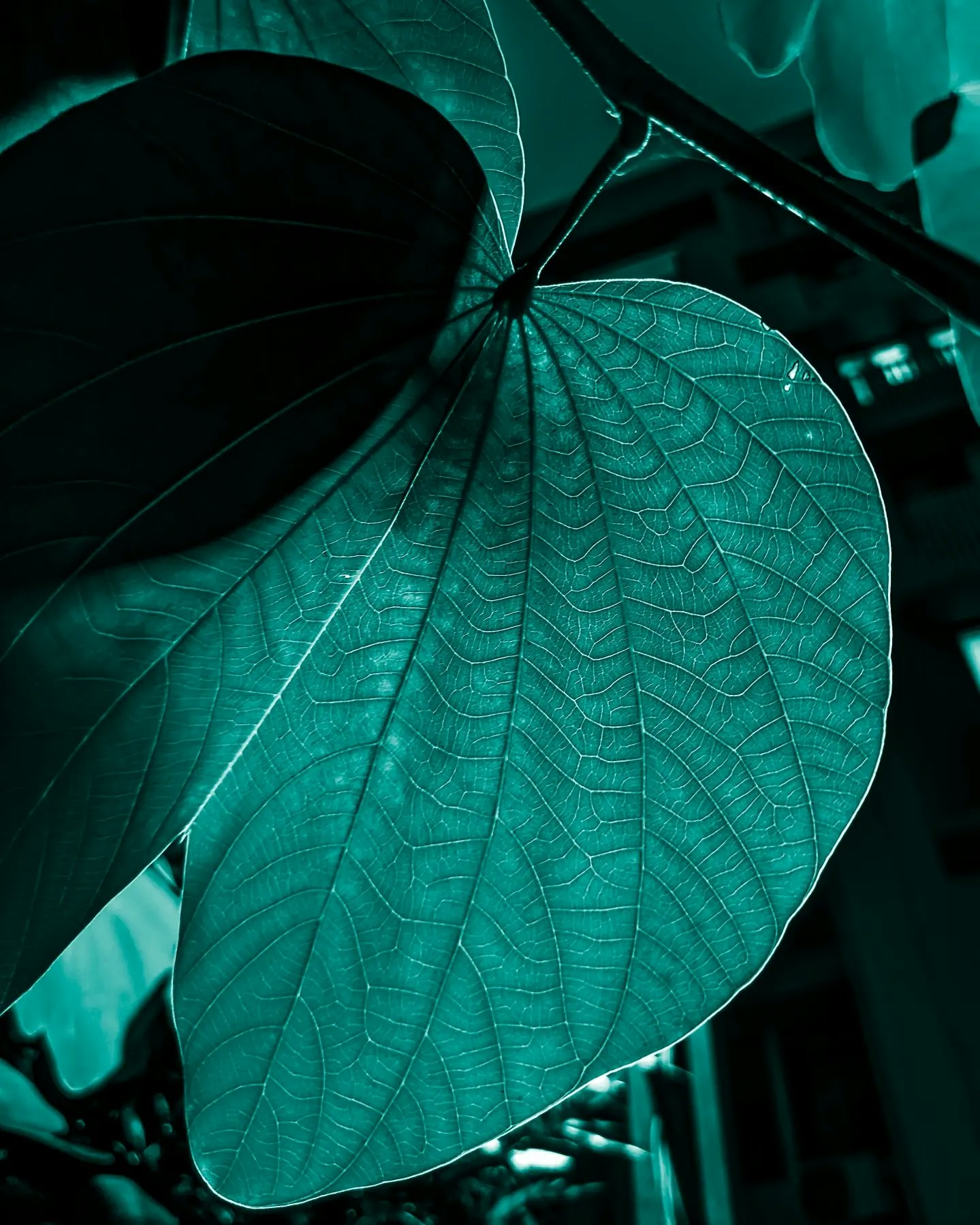 Accéder au profil de Sahil Parmar