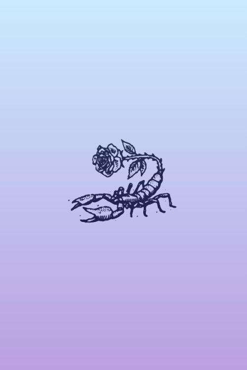 Rosethornのプロフィールを見る