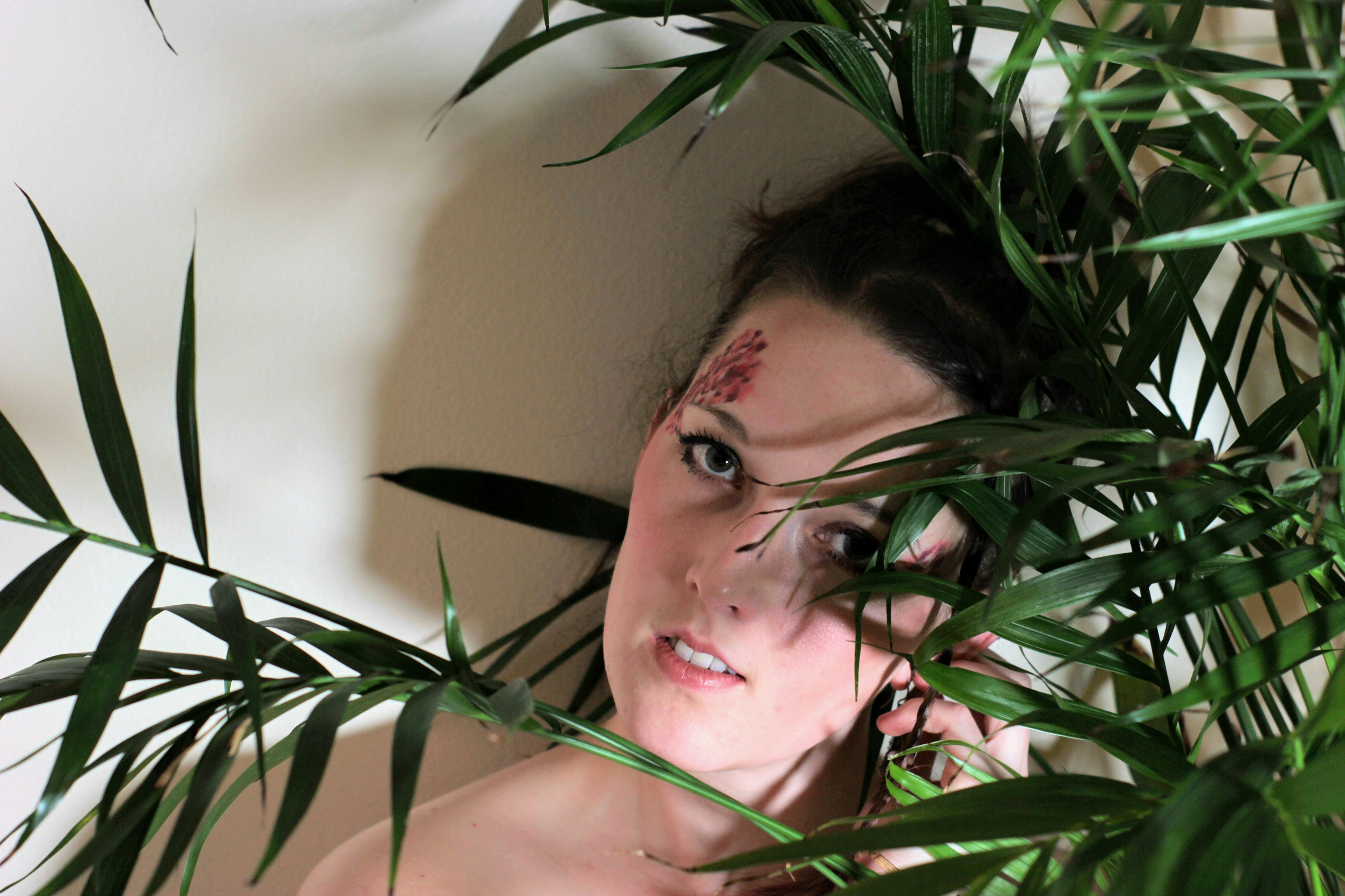 Ir para o perfil de Anna Taylor