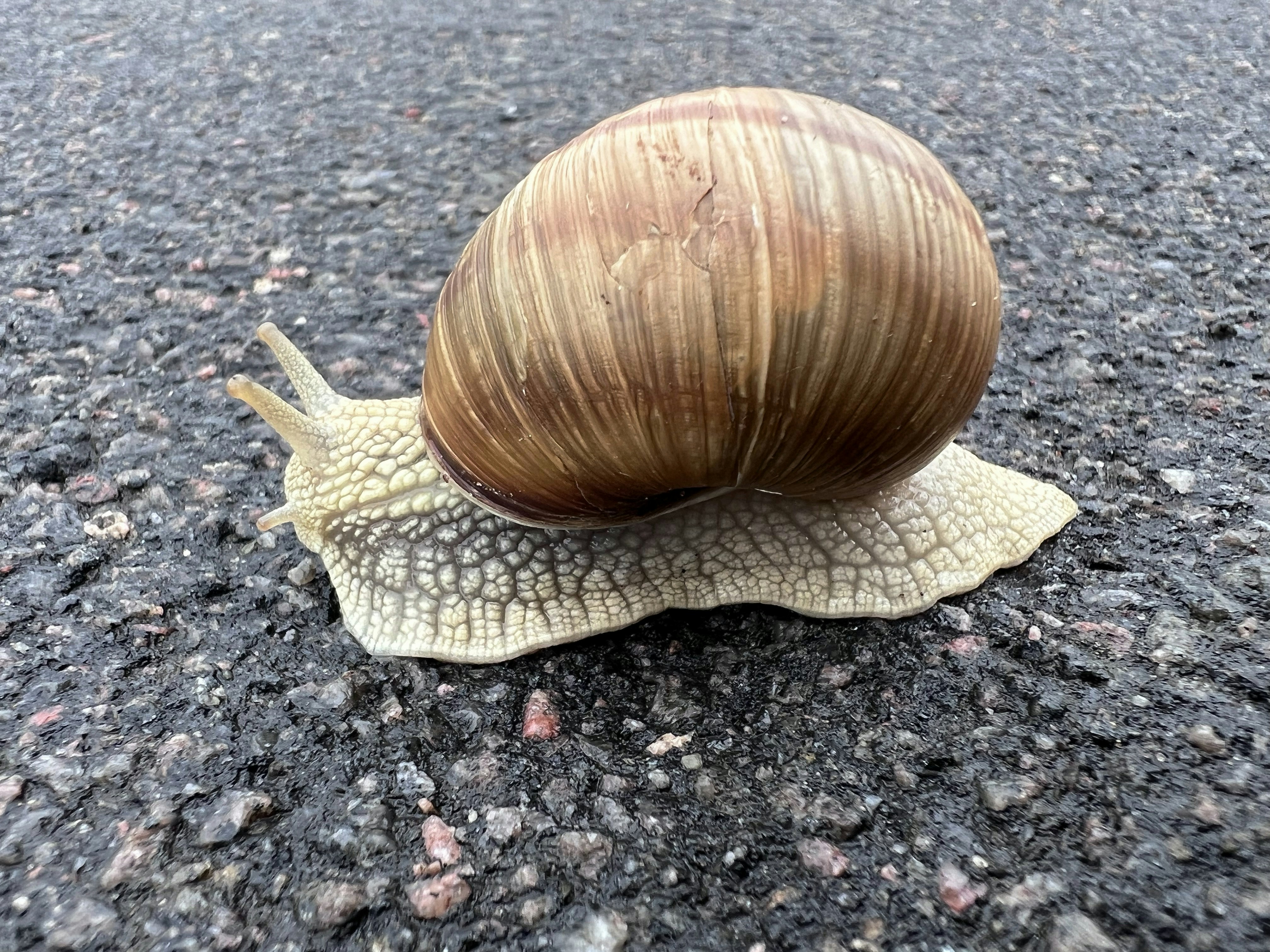 Vai al profilo di Mark